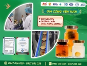Gia công yến tươi – Giữ nguyên dưỡng chất, giao hàng nhanh
