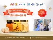 XƯỞNG GIA CÔNG YẾN SÀO GIÁ SỈ – HỖ TRỢ XÂY DỰNG THƯƠNG HIỆU RIÊNG